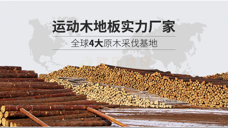 江蘇體育館運(yùn)動(dòng)木地板安裝