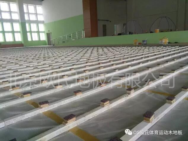 汕頭特殊教育學(xué)?；@球館木地板案例圖4