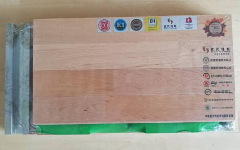 歐氏U型鋼槽結(jié)構(gòu)運動木地板系統(tǒng)