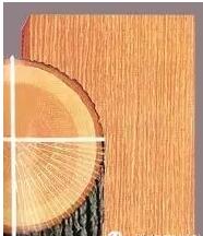 徑切與呈現(xiàn)出來(lái)的紋理效果