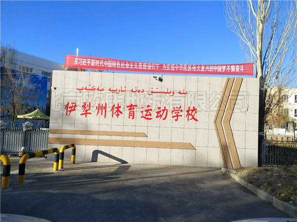新疆伊犁體?；@球館地板案例