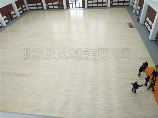 新疆伊犁體?；@球館地板案例