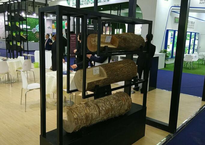 第20屆中國**地面材料及鋪裝技術展覽會順利開幕