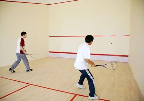  建個壁球館的價格是多少？