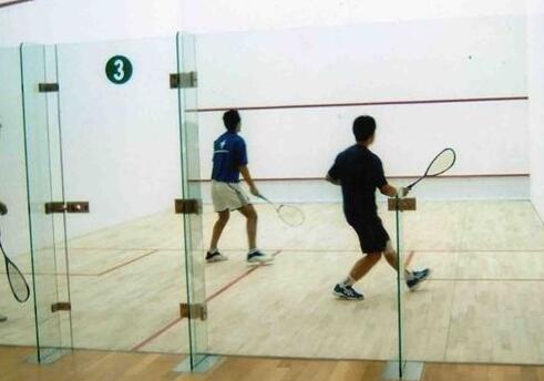  建個壁球館的價格是多少？