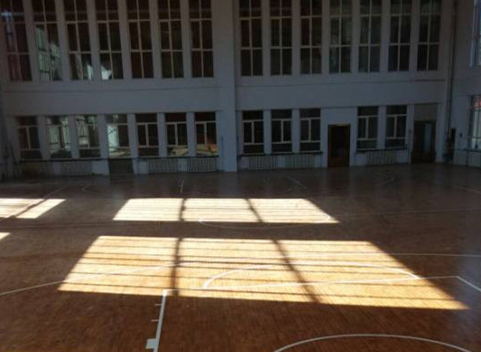 室內(nèi)體育地板