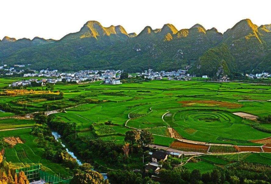 土壤養分檢測儀